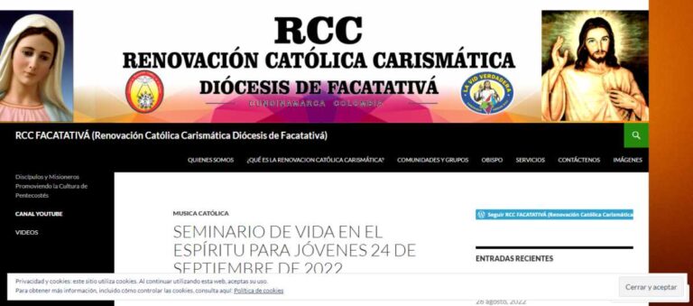 pagina web renovación
