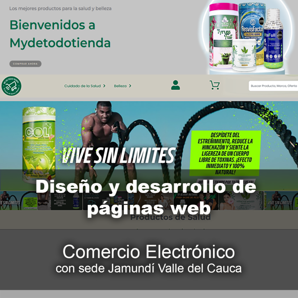 diseño de paginas web 3