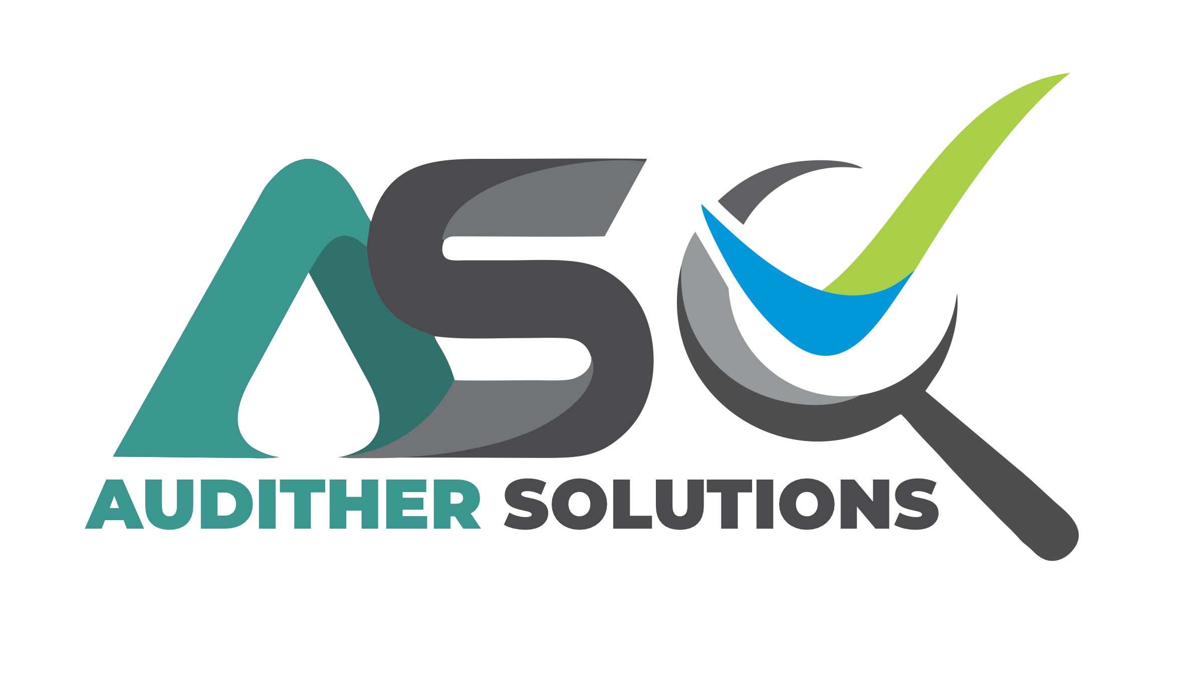 Dicrea Estudio Web 19 Audither Solutions